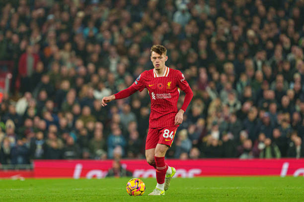 的本土明星 的本土明星